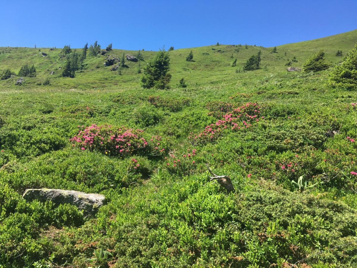 Almhütte Villa Lachtal Dış mekan fotoğraf