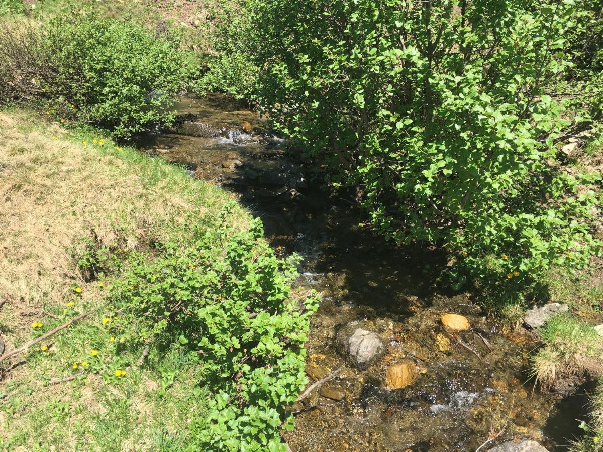 Almhütte Villa Lachtal Dış mekan fotoğraf