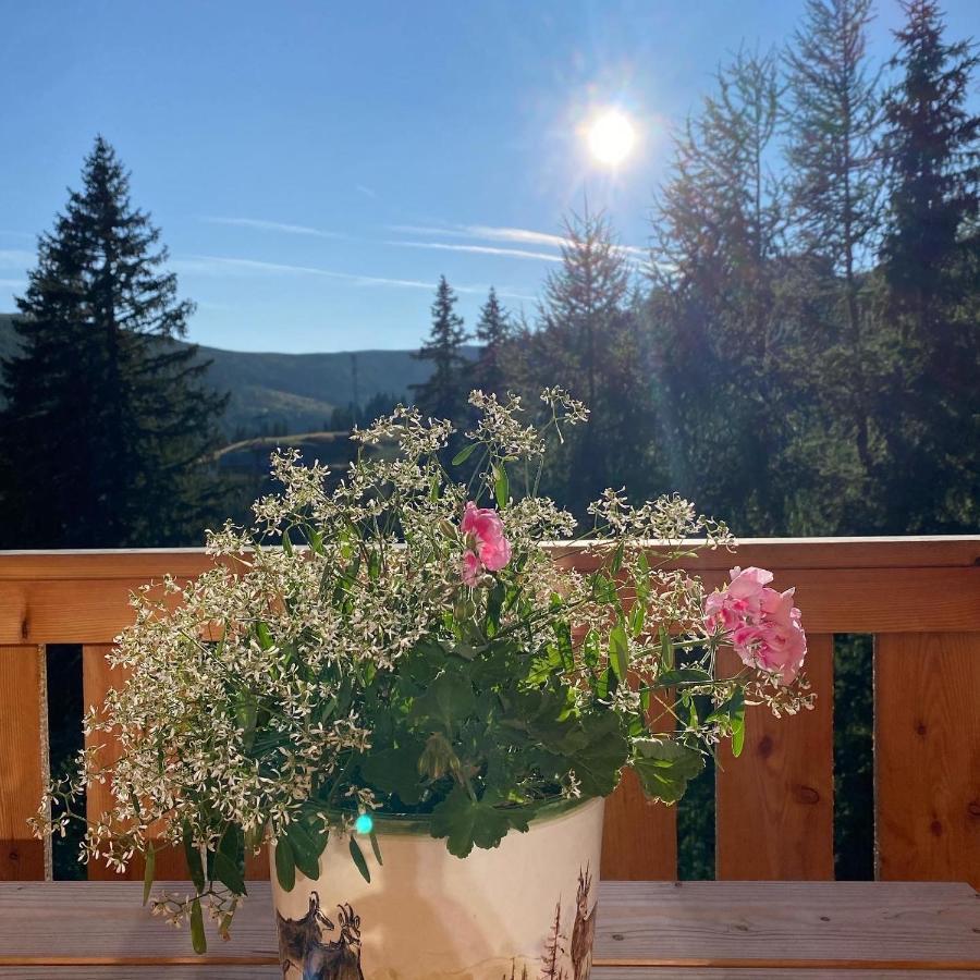 Almhütte Villa Lachtal Dış mekan fotoğraf