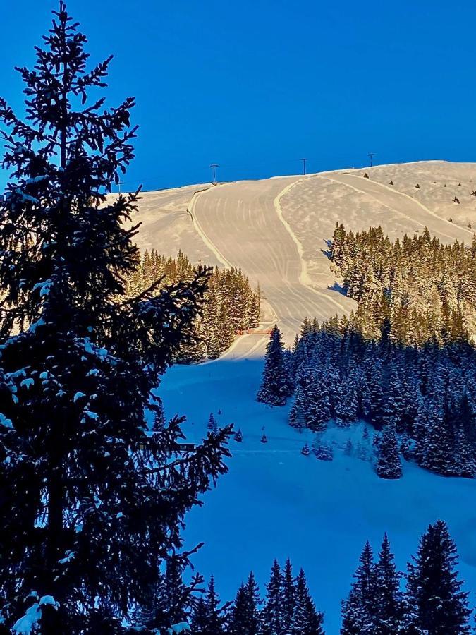 Almhütte Villa Lachtal Dış mekan fotoğraf